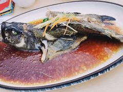 清蒸石斑鱼-琼大师东方烤乳猪(亚特兰蒂斯店)