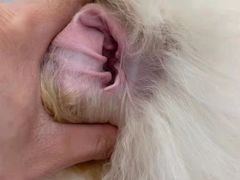 -comecome来吧宠物(奥克斯中心店)