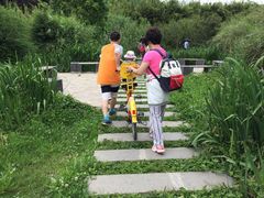 -贵阳市花溪国家城市湿地公园