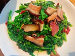 -蓉城小馆(科兴店)