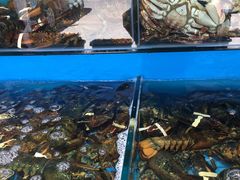 -港畔赶海蒸汽海鲜烧烤自助(仙螺岛店)
