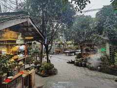 -青城甲(青城山店)