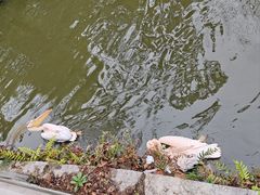 -黔灵山公园