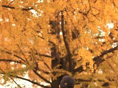 -四川大学(望江校区)