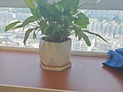 -V-SHOW主题KTV(新城店)