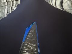 -上海柏悦酒店·世纪100牛排馆