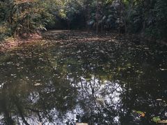 -广州兰圃