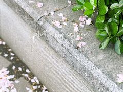 -郑和公园