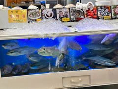 -西归浦每天偶来市场