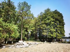 -东湖落雁景区