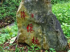 -句容茅山景区