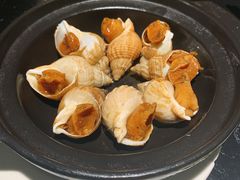 金蝉脱壳之翡翠螺-小和庆·知味(首铸万科店)