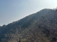 -杭州灵山景区