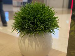 -mango tree芒果树泰国餐厅(青岛万象城店)