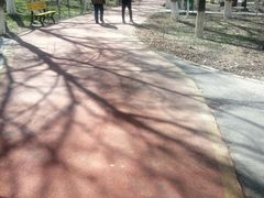 -小绿谷公园