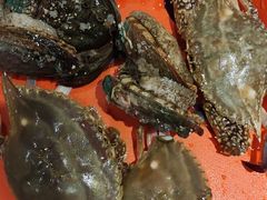 -蓝钻·国际美食海鲜自助百汇(西直门店)