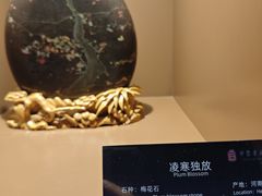 -中华赏石园