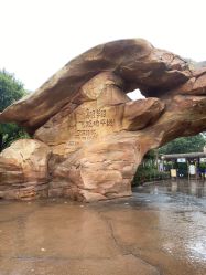 -翱翔飞越地平线