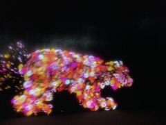 -台场海滨公园船码头
