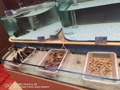 水产区-大渔小鲜火锅店