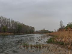 -淇河国家湿地公园