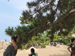 -老虎石海上公园