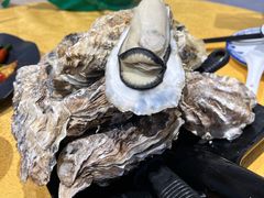 至尊桑拿蚝-天宝食坊·啫啫煲大排档(西华路店)