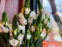 -Catch Bagel(芳草地店)