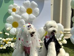 -J Create城市露营咖啡·简餐·宠物(上海动物园店)