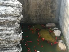 -方山风景区定林寺