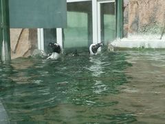 android_upload_pic-新疆天山野生动物园