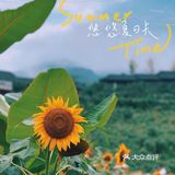 七月𝗦𝗨𝗠𝗠𝗘𝗥限定🌞母亲与向日葵🌻有约
