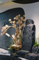 -TOP HAIR SALON