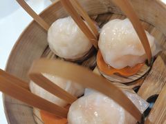 -金鼎轩(亚运村店)