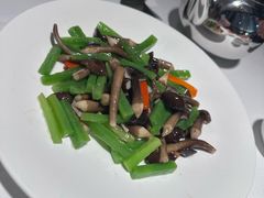 -金春禧(世茂国际广场店)