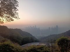 -南山植物园