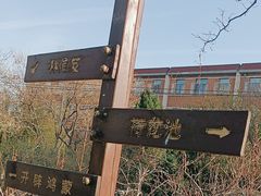 -桃花堤公园