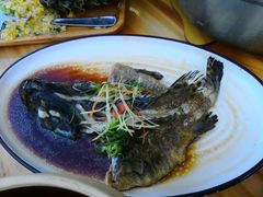 清蒸石斑鱼-琼大师东方烤乳猪(亚特兰蒂斯店)
