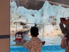 -帝企鹅自助餐厅•儿童岛•真企鹅(长隆企鹅酒店)