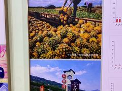 -中国农业博物馆