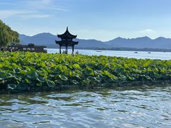 -西湖外事游船(湖滨二公园外事游船码头)