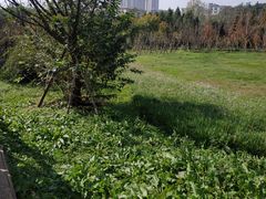 -贵阳市花溪国家城市湿地公园