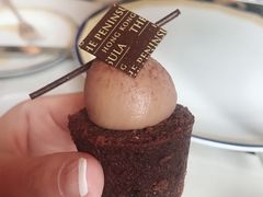 -大堂茶座