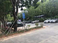 -棕榈泉国际高尔夫学院