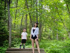 -五营红松林海景区