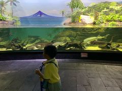 -江和美海洋公园