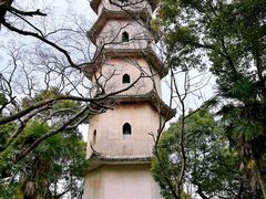 -江心屿景区