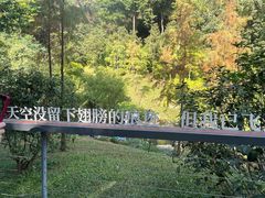 -云溪植物园
