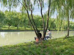 -广富林郊野公园