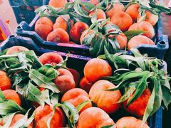 -江杨农产品批发市场